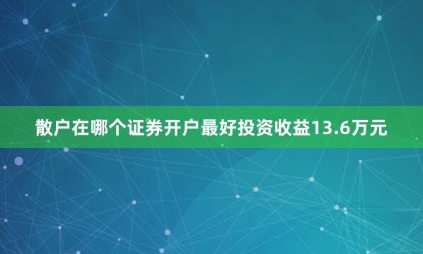 散户在哪个证券开户最好投资收益13.6万元