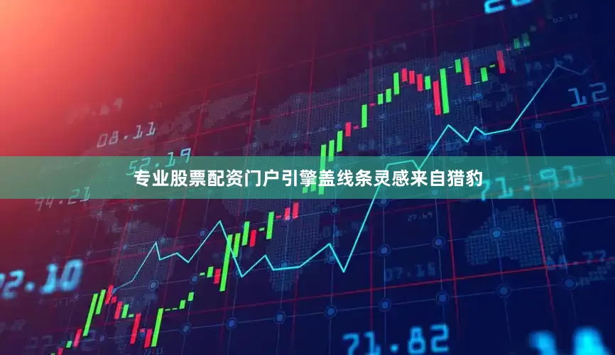 专业股票配资门户引擎盖线条灵感来自猎豹